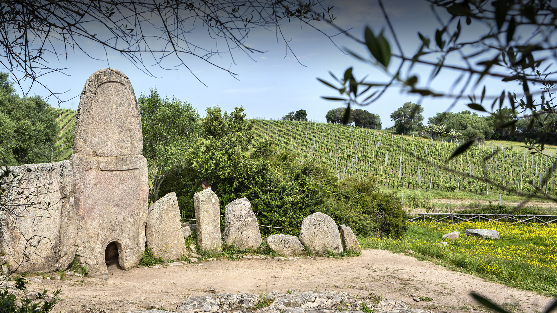Découvrir la Gallura